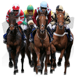 Online Horse Racing